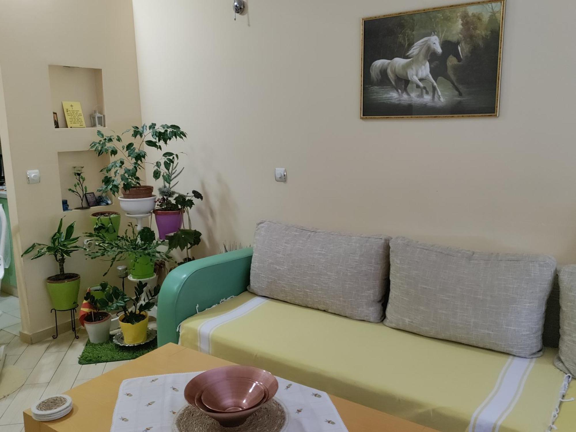 Central Apartment Gevgelija Exterior photo